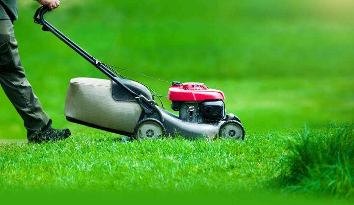 Tonte pelouse Castelsarrasin