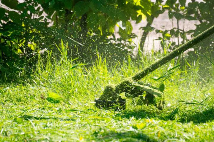 Travaux de débroussaillage Castelsarrasin