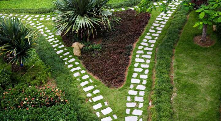 Services création et entretien jardin Castelsarrasin