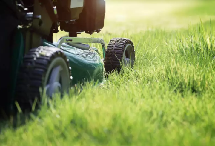 Entretien de jardin, Montech