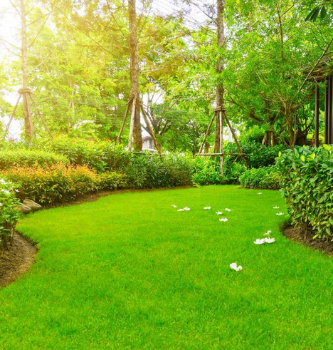 Services création et entretien jardin Castelsarrasin