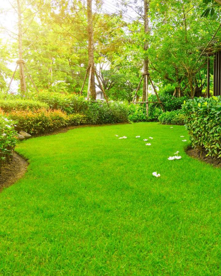 Entretien de pelouse à Castelsarrasin